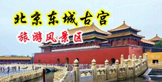 操我得骚逼啊啊视频中国北京-东城古宫旅游风景区